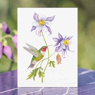 Aquarell Columbine mit Kolibri  Postkarte