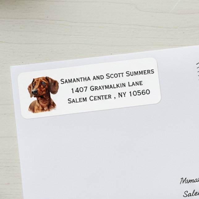 Aquarell-Dackel-Hund (Von Creator hochgeladen)