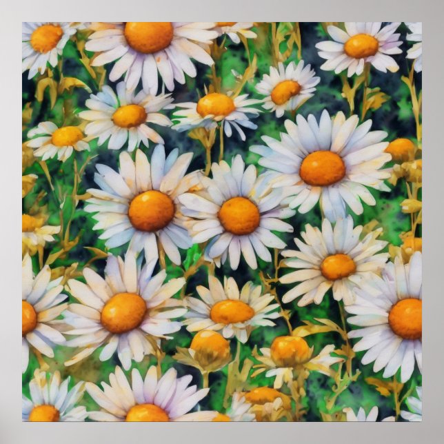 Aquarell Daisy Blume Garten Poster (Vorne)