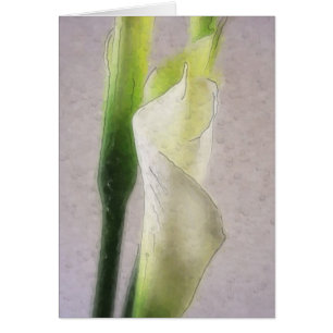Aquarell der Calla-Lilien-1