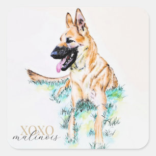 Aquarell Deutsche Schafherde Malinois XOXO Quadratischer Aufkleber