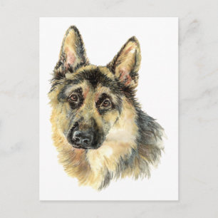 Aquarell Deutscher Schäferhund Haustier Hund Tier Postkarte