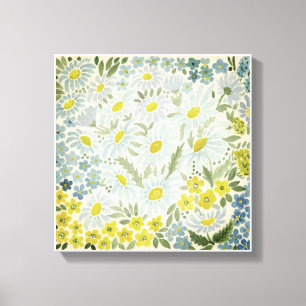 Aquarell Die Blume des Feldes . Chamomile Leinwanddruck