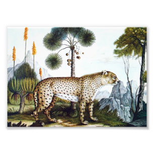 Aquarell eines Gepards (Zotl) Fotodruck