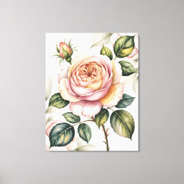 Aquarell-Englische Rose Leinwanddruck