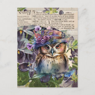 Aquarell-Eule Vintage-Collage-Postkarte Postkarte