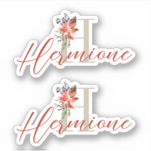 Aquarell-Feiertags-Poinsettia-Monogramm und Name Aufkleber