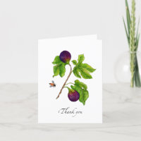 Aquarell-Feige botanisch gefaltet
