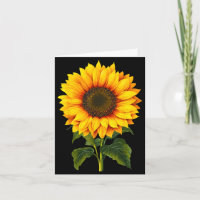 Aquarell gelbe Sonnenblume botanischer Garten Somm