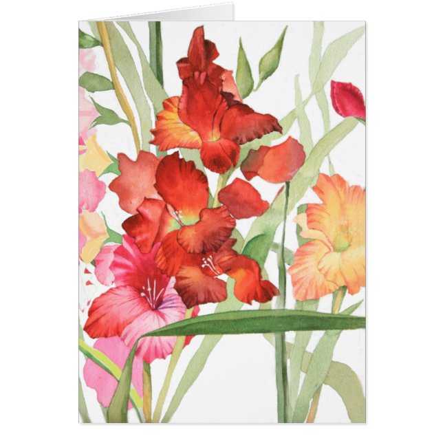 Aquarell Gladiolas (Vorne)
