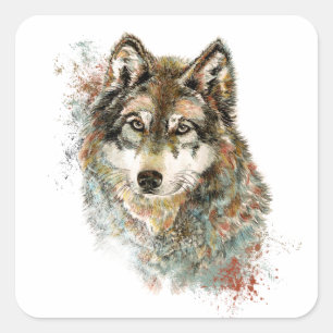 Aquarell Grauer Wolf Wildnis Quadratischer Aufkleber