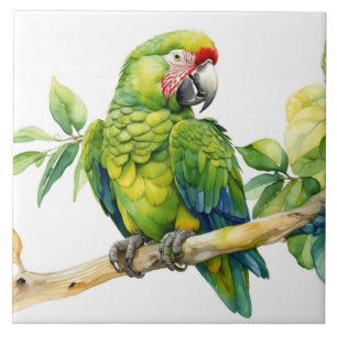 Aquarell-Grünpapagei auf einem Baumzweig Fliese