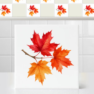 Aquarell Herbst Kanadische Rote Ahornblätter Zweig Fliese