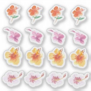 Aquarell Hibiskus Farbige Blumen Handgemalt Aufkleber