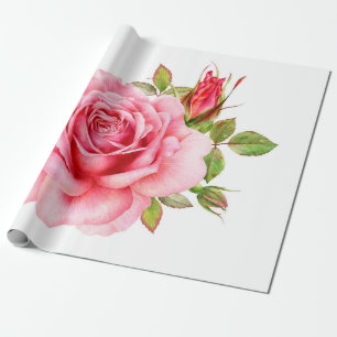 Aquarell-Illustration einer zarten rosa Rose mi Geschenkpapier