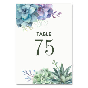 Aquarell-Kaktus-Sukkulenten-Hochzeitstisch-Nummer Tischnummer