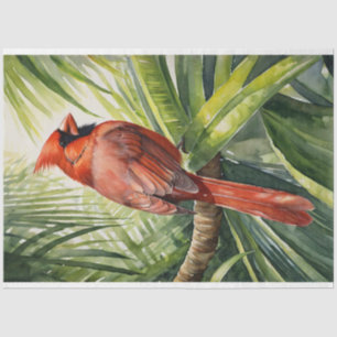 Aquarell Kardinal Tropischer Baum Decoupage Seidenpapier