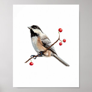 Aquarell-Kohlmeisen-Vogelmalerei Poster