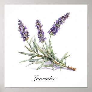 Aquarell-Lavendel-Botanik-Wellness individuell Poster