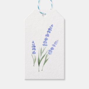 Aquarell-Lavendel Geschenkanhänger