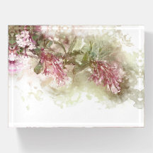 Aquarell-Lavendel-Lila-Jasmin