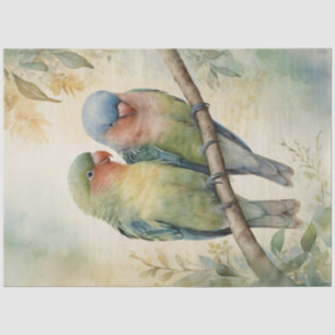 Aquarell-Liebesvögel Eukalyptusbaum-Decoupage Seidenpapier
