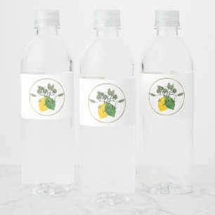Aquarell Limoncillo Limette Zitrone Wasserflaschenetikett