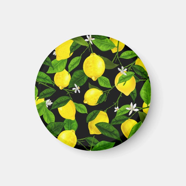 Aquarell-Limonen 2 Magnet (Vorne)