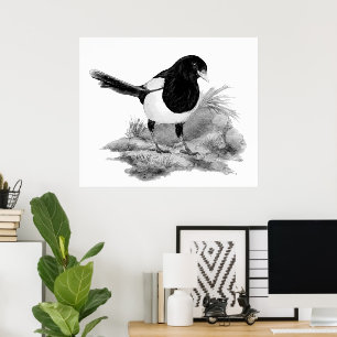 Aquarell Neugierige Elster Vogel Natur Kunst Poster