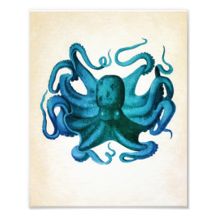 Aquarell-Oktopus-Illustration Fotodruck