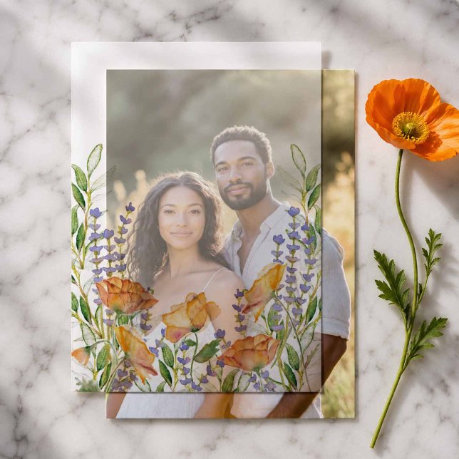 Aquarell Orange Mohn Blumen Vellum Overlay (5x7 vellum sheet designed with orange poppy flowers for a wedding invitation suite)