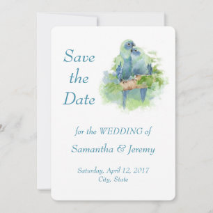 Aquarell-Papageien Blau Grün Save the Date