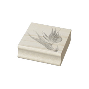 Aquarell Paradiesvogel Gummistempel