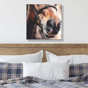 Aquarell Pferdemaul Pferdemädchen Nahaufnahme Nase Leinwanddruck