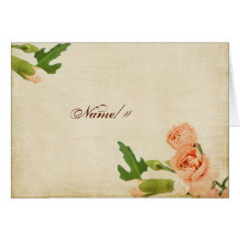 Aquarell-Pfirsich-Gartennelken-Ecken