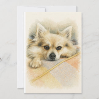 Aquarell-Porträt eines Pomeranian-Chihuahua-Hundes Dankeskarte
