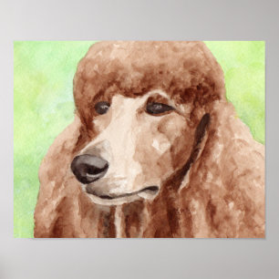 Aquarell-Pudel Poster