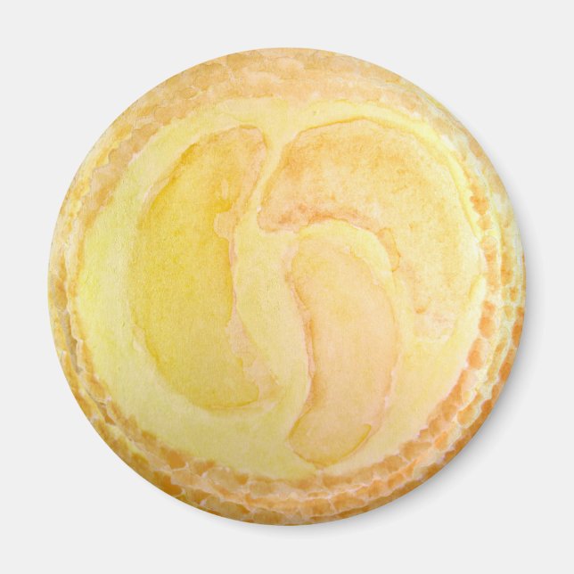 Aquarell-realistische Pfirsich-Fruchttorte Magnet (Vorne)