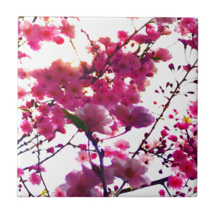 Aquarell rosa Frühlingsblumen   Blühender Baum     Fliese