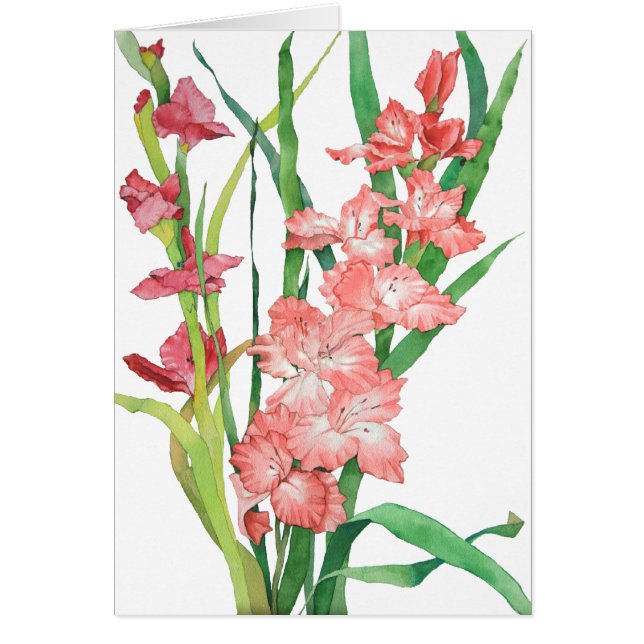 Aquarell rosa Gladiolas (Vorne)
