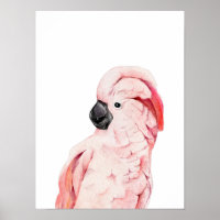 Aquarell Rosa Kakadu Moluccan