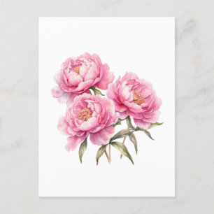 Aquarell Rosa Pfingstrosenblüten Postkarte