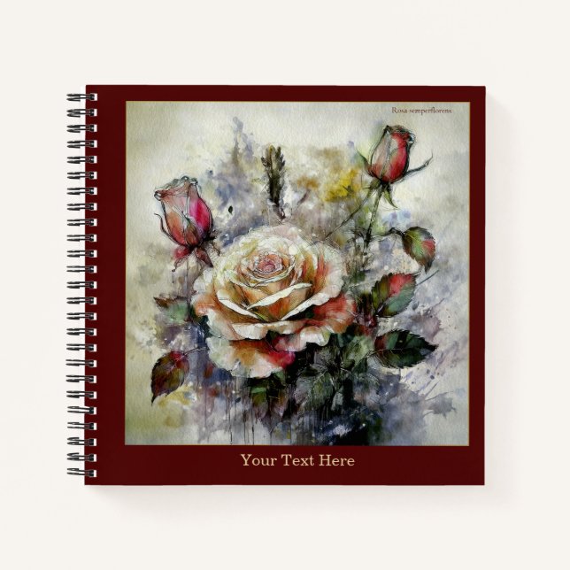 Aquarell Rosa semperflorens Notizbuch (Vorderseite)