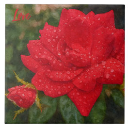 Aquarell-Rose Fliese