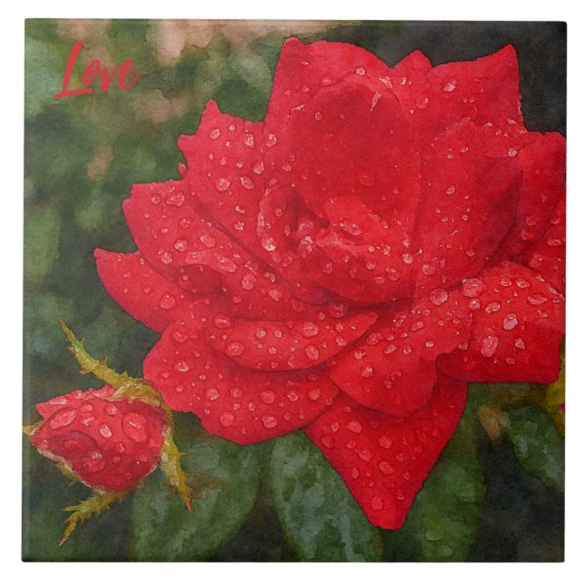 Aquarell-Rose Fliese (Vorderseite)
