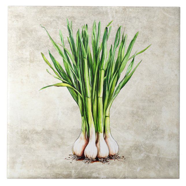 Aquarell-Rustikal-Schnittlauch-Attrappe-Textur Fliese (Vorderseite)
