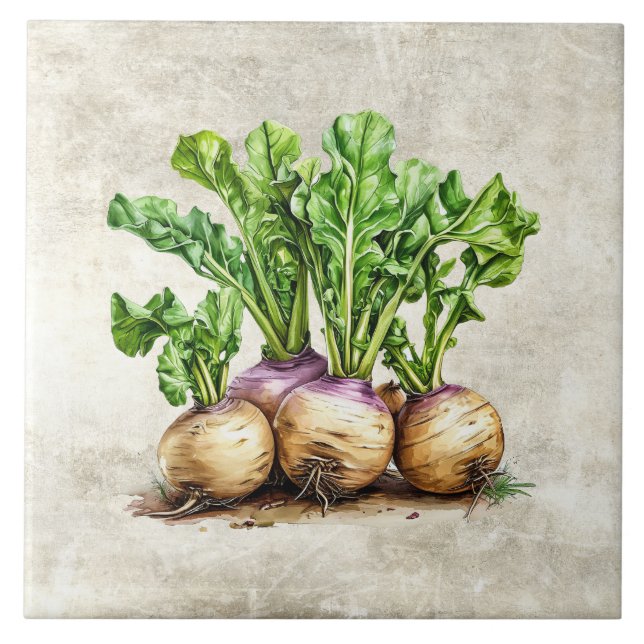 Aquarell-Rustikale Wasserrüben-Faux-Textur  Fliese (Vorderseite)