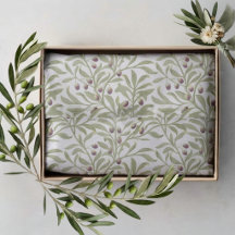 Aquarell Salbeigrüner Olivenzweig Botanisch