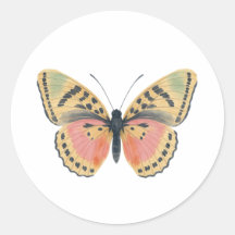Aquarell-Schmetterling-Rund-Sticker