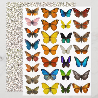 Aquarell-Schmetterling-Set für fusseligen Schnitt